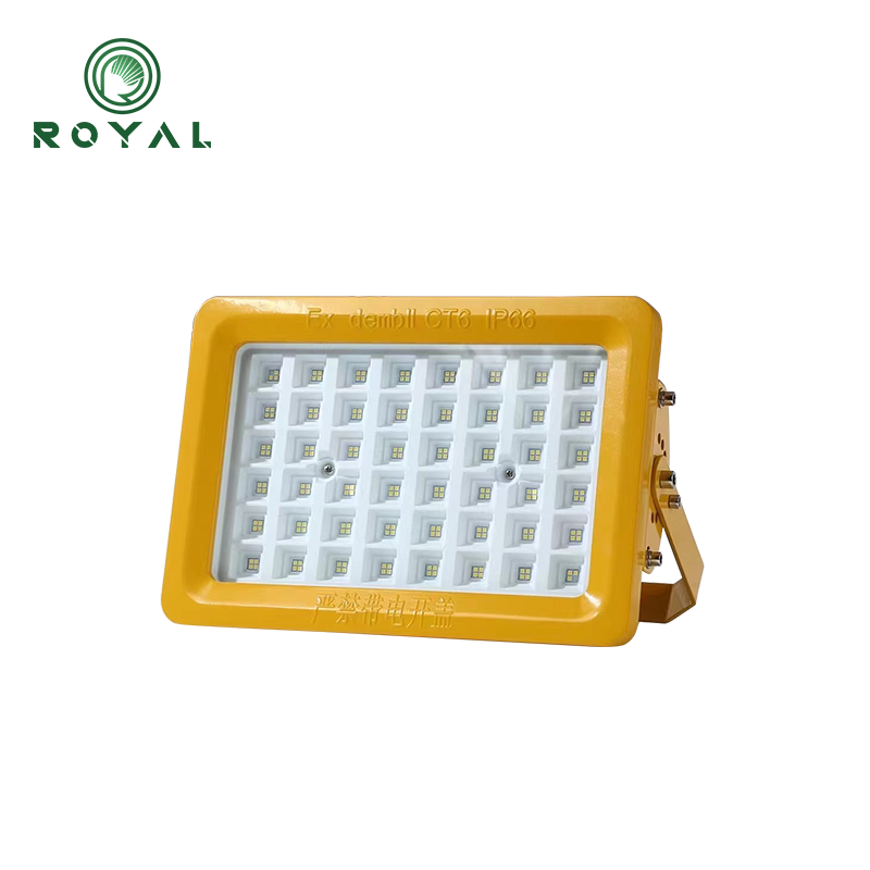 Explosion proof flood light LED hazardous area lighting
