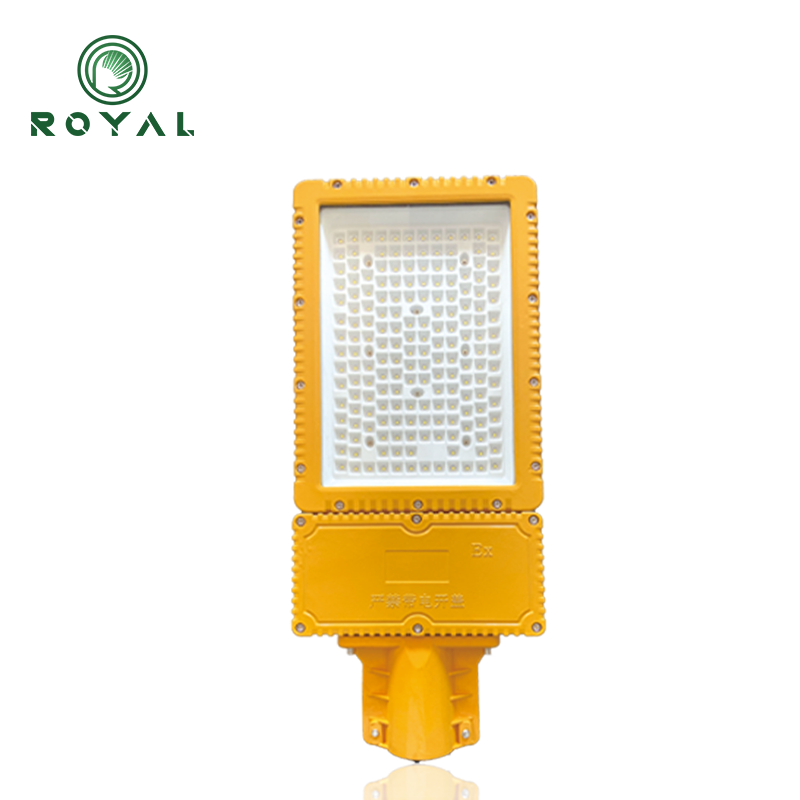 Explosion proof street light